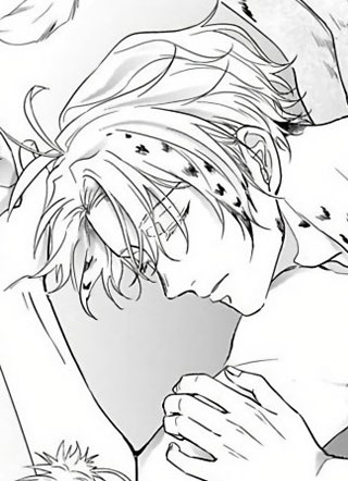 猫头鹰的相思病 截图1